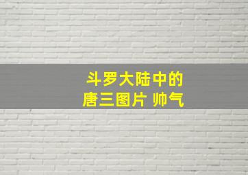 斗罗大陆中的唐三图片 帅气